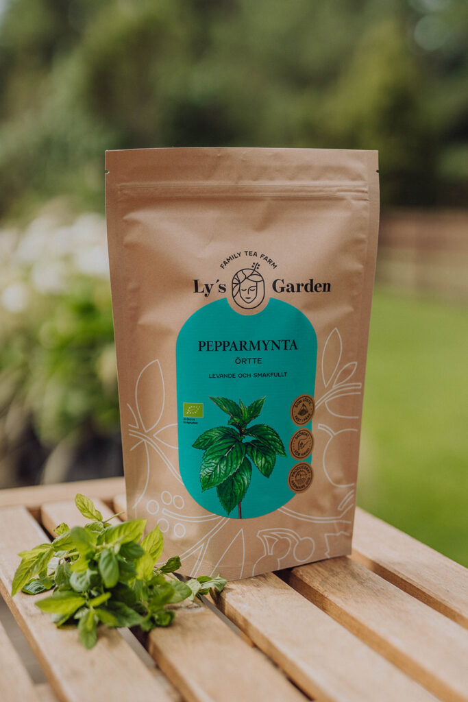 Färsk pepparmynta i hand – hälsofördelar med pepparmyntste