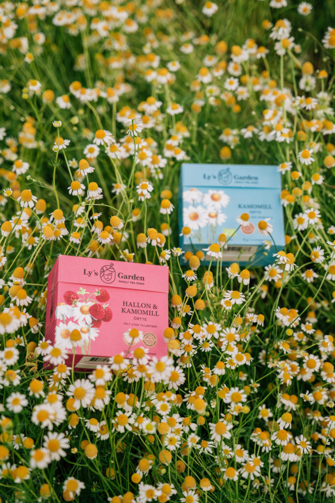 Ly’s Garden kamomillte och hallon-kamomillte – teförpackningar bland kamomillblommor